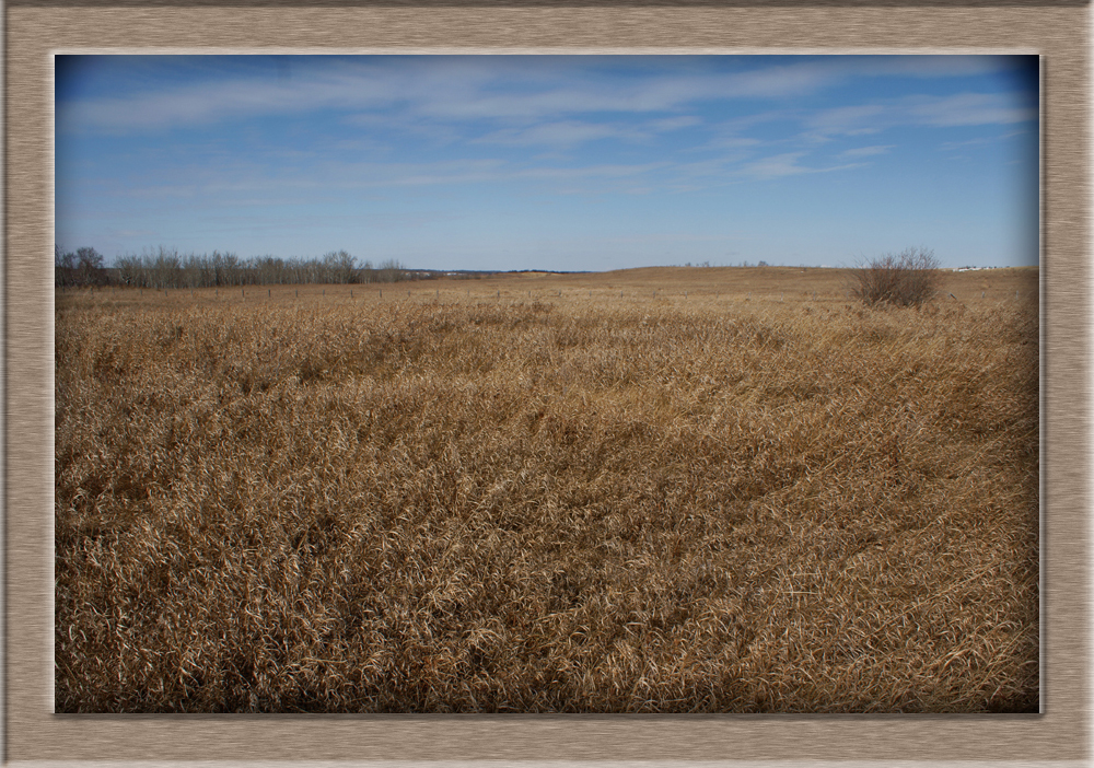 Batoche-BoyersStoreLocation6139
