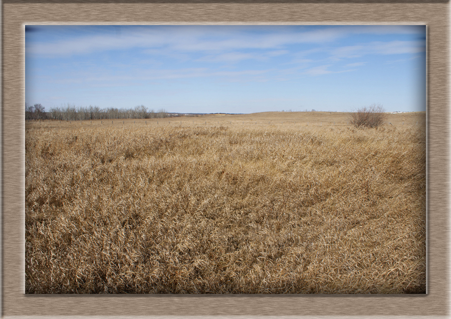 Batoche-BoyersStoreSite63918 copy