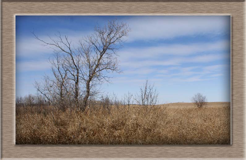 Batoche-FisherStoreSite