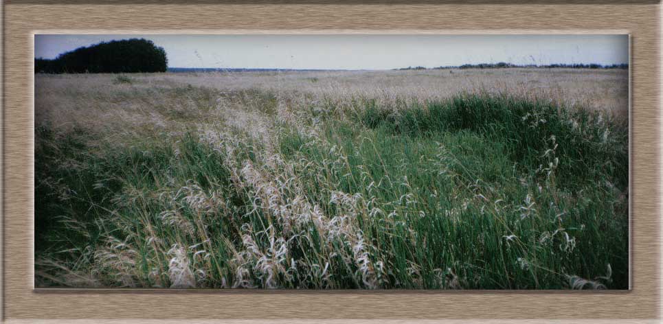 Batoche-Theatre_of_War