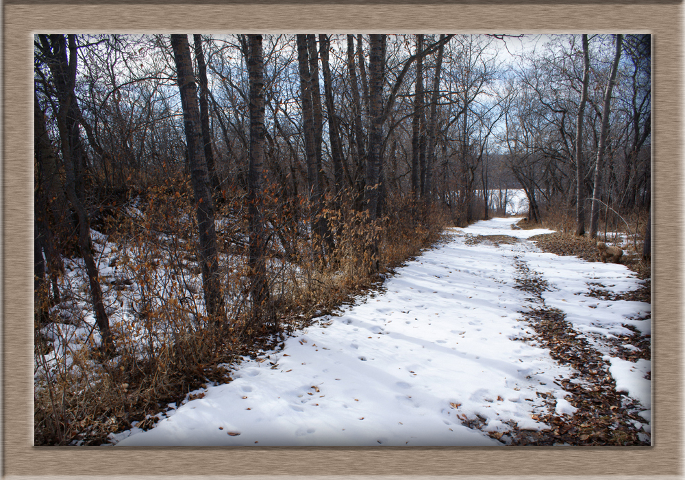 BatocheFerryLocation6158