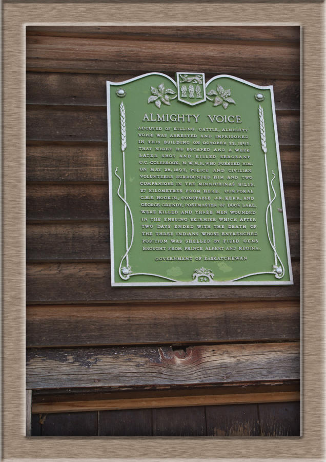 DL-AlmightyVoice7663