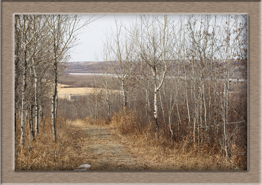 FC-CarltonTrail07843