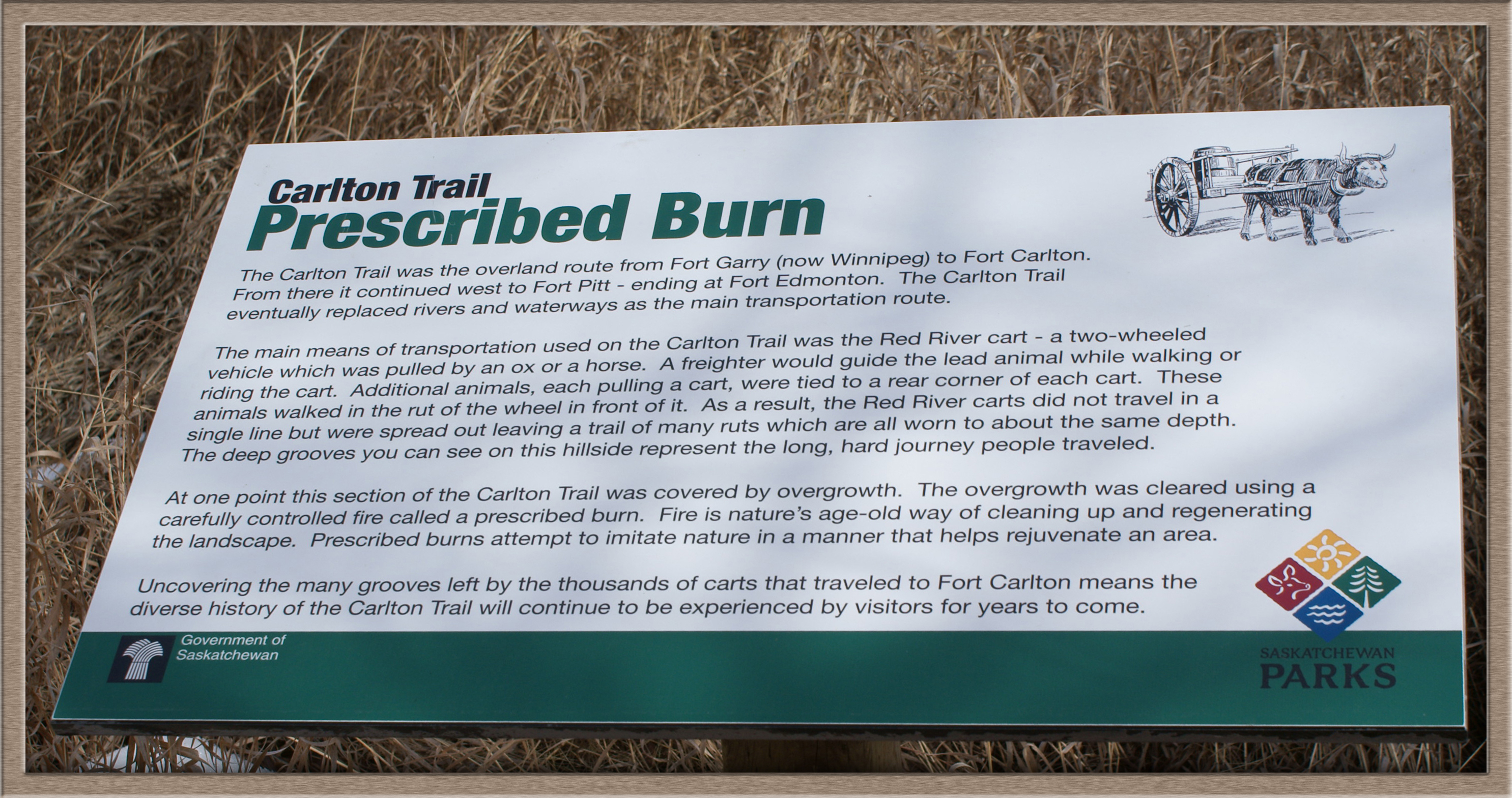 FC-CarltonTrailburn07736