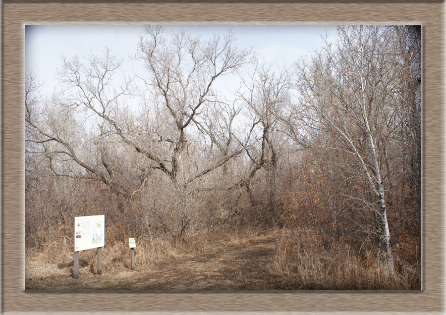 FC-CrossingPlaceTrail07755