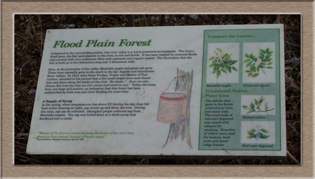 FC-Pruden-MasterFCC07774