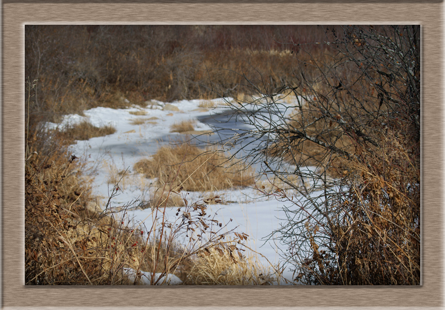 FishCreekAtCrossing0577644copy