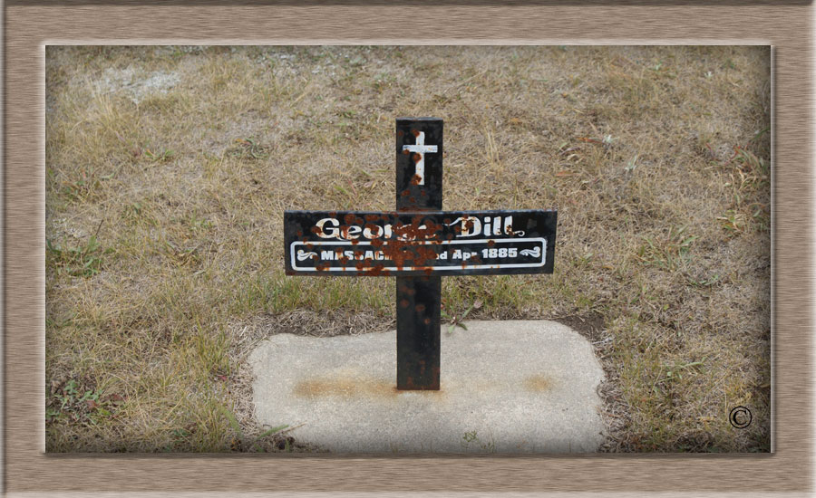 FrogLakeGeorge_Dillcopy