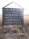 Beaver 374