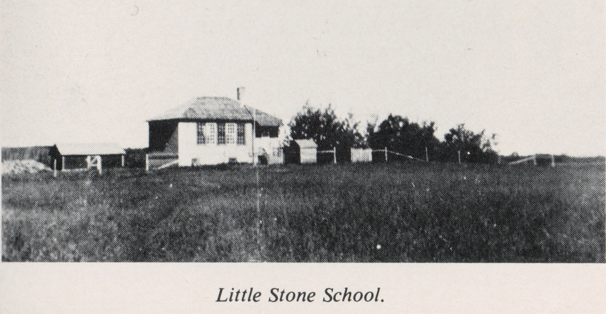 %Little Stone School District 2069