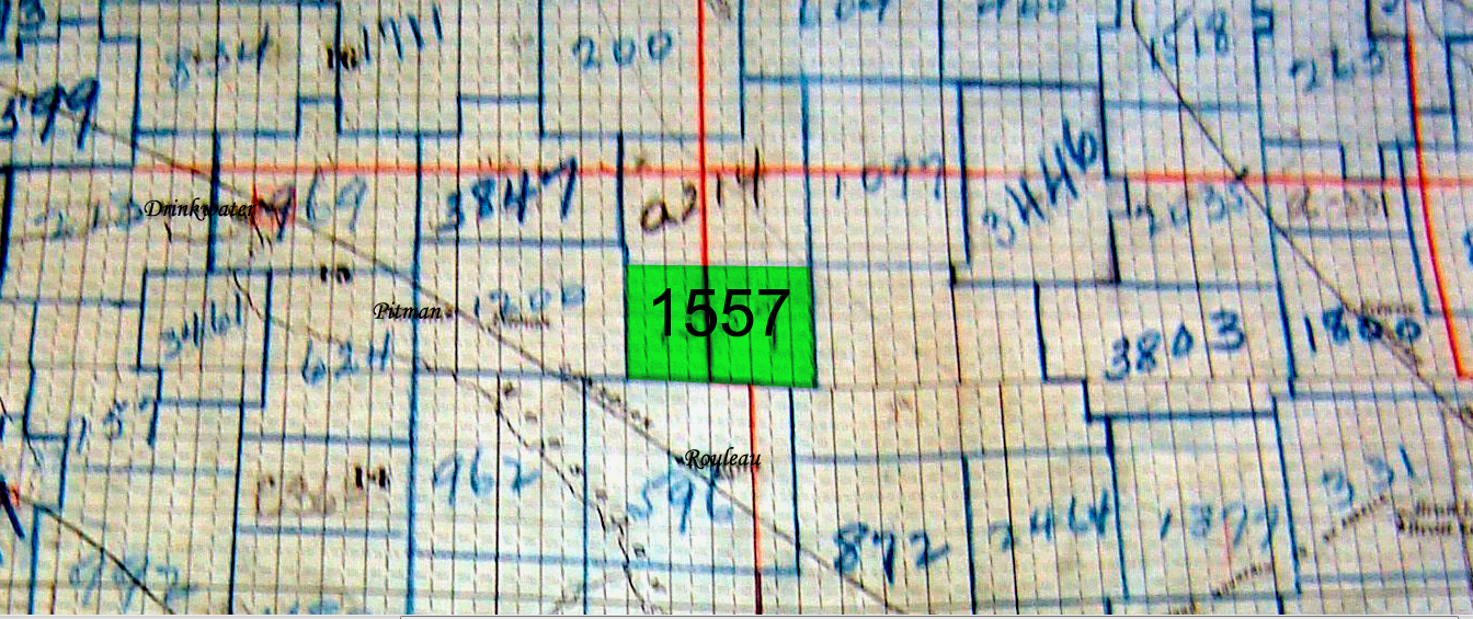 Prairie Lily School District 1557, 1906-1957, Township 15 range 22 west of the second meridian, near Pitman, Drinkwater and Rouleau Saskatchewan    - Saskatchewan Gen Web