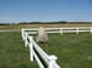 Carnoustie004