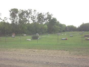 DubucCemetery--1