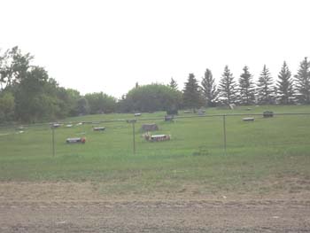 DubucCemetery--5