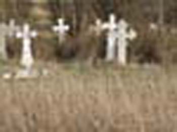 Pouneebrooda-CeePee003