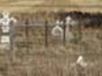 Pouneebrooda-CeePee005