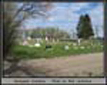 Springside_0699_1
