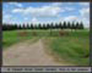 StElizabeth-1
