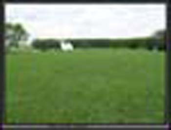 St_Matthew_Forrest_Farm_30