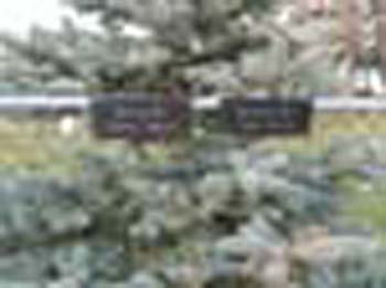 UOC-CemeteryBirminghaml009