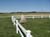 Carnoustie004