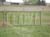 ClovaCemetery-2
