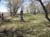 Dafoe-KandaharCemetery-13