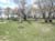 Dafoe-KandaharCemetery-9