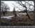 Dubuc_First_Lutheran_Church