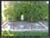 FirstEbenezerCemetery_19