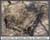FoneHill__Cemetery