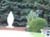 ItunaCemetery006