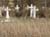 PALOBRODA-HolyTrinity 003