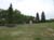 SpruceHomeCemetery--1