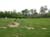 SpruceHomeCemetery--7