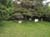 SpruceHomeCemetery--9