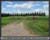 StElizabeth-1