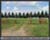 StElizabeth-2