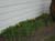 StNicholasCemetery-8