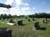 StPeterStPaulDobrowdy-00-6
