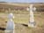TinyAmsterdamCemetery--3